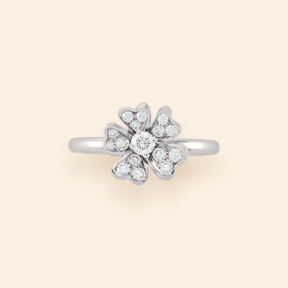 Monterosa Ring SM