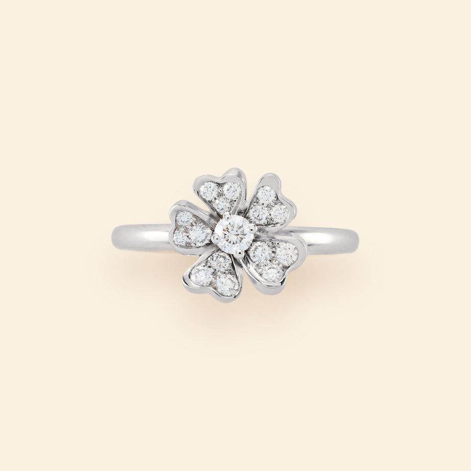 Monterosa Ring SM